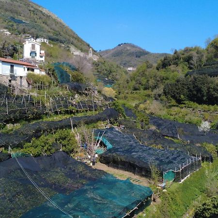 特拉蒙蒂Antica Cartiera Sant'Elia公寓 外观 照片