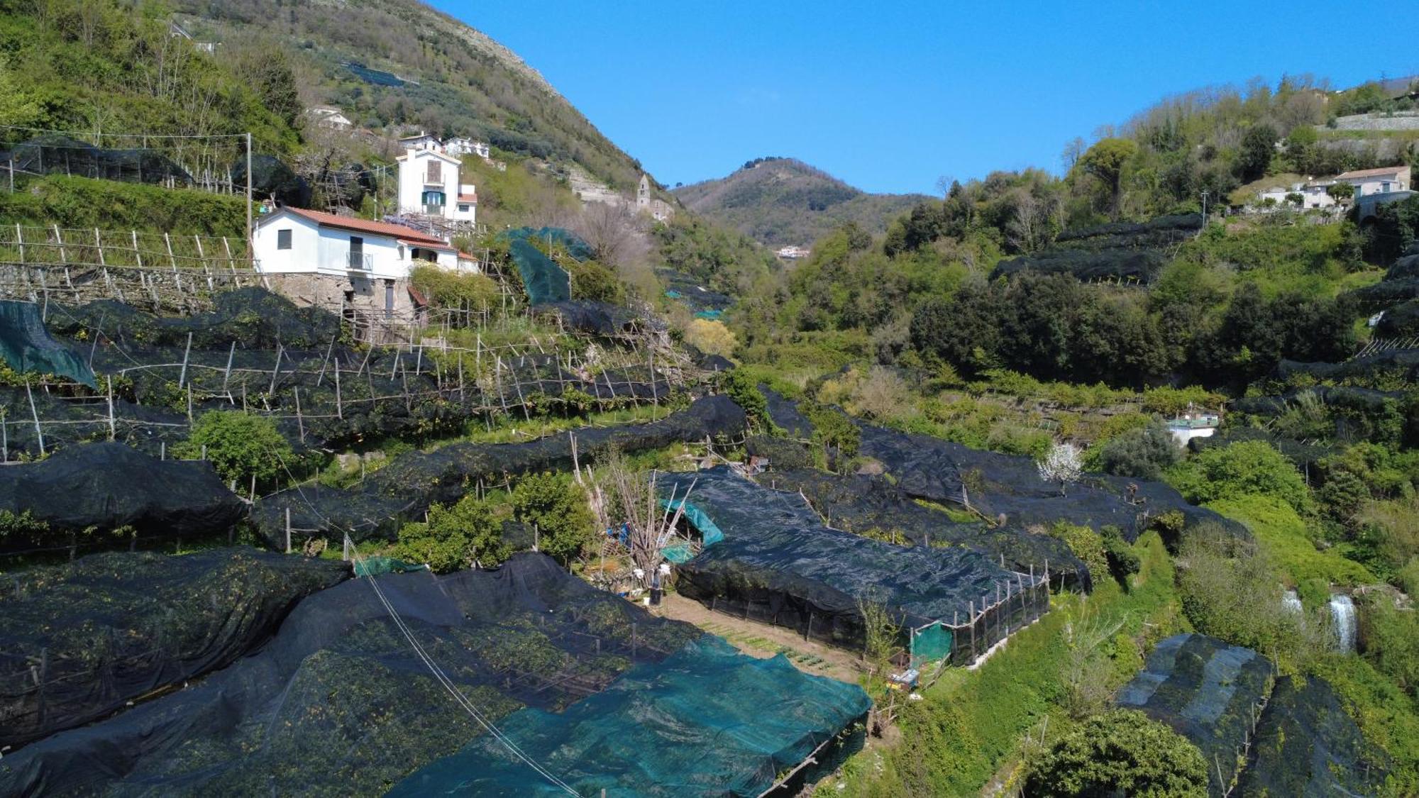 特拉蒙蒂Antica Cartiera Sant'Elia公寓 外观 照片