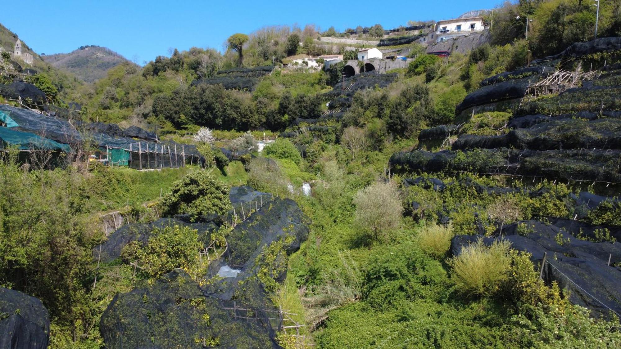 特拉蒙蒂Antica Cartiera Sant'Elia公寓 外观 照片